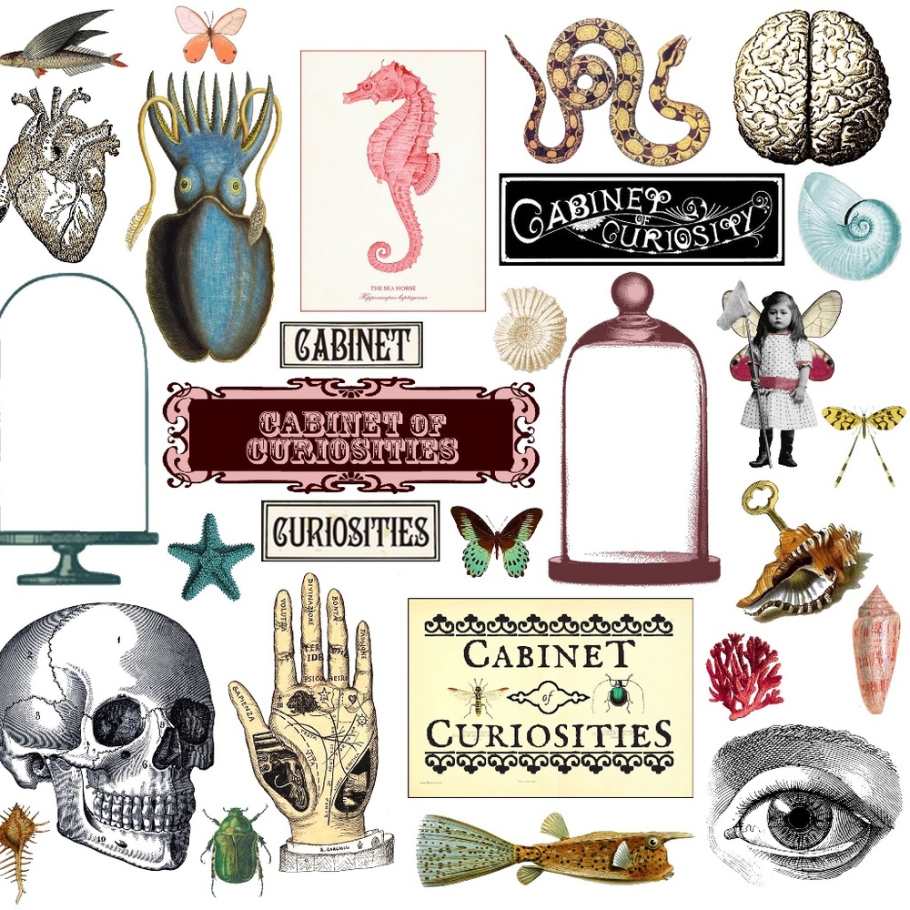 Meet your Posher, Loreal